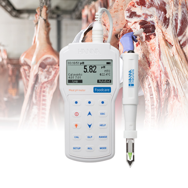 pHmetro portatile professionale per carne - HI98163