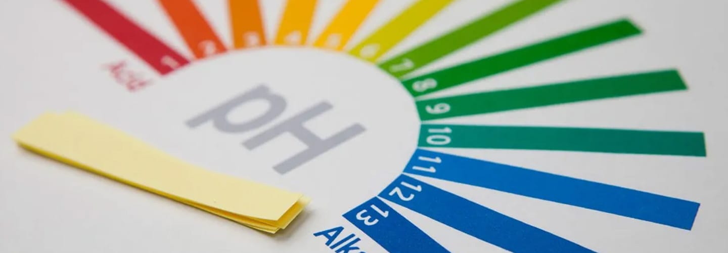 pHmetro come funziona e a cosa serve_Hanna Instruments